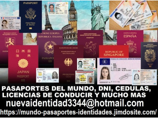 Pasaportes DNI licencia de conducir y mucho mas